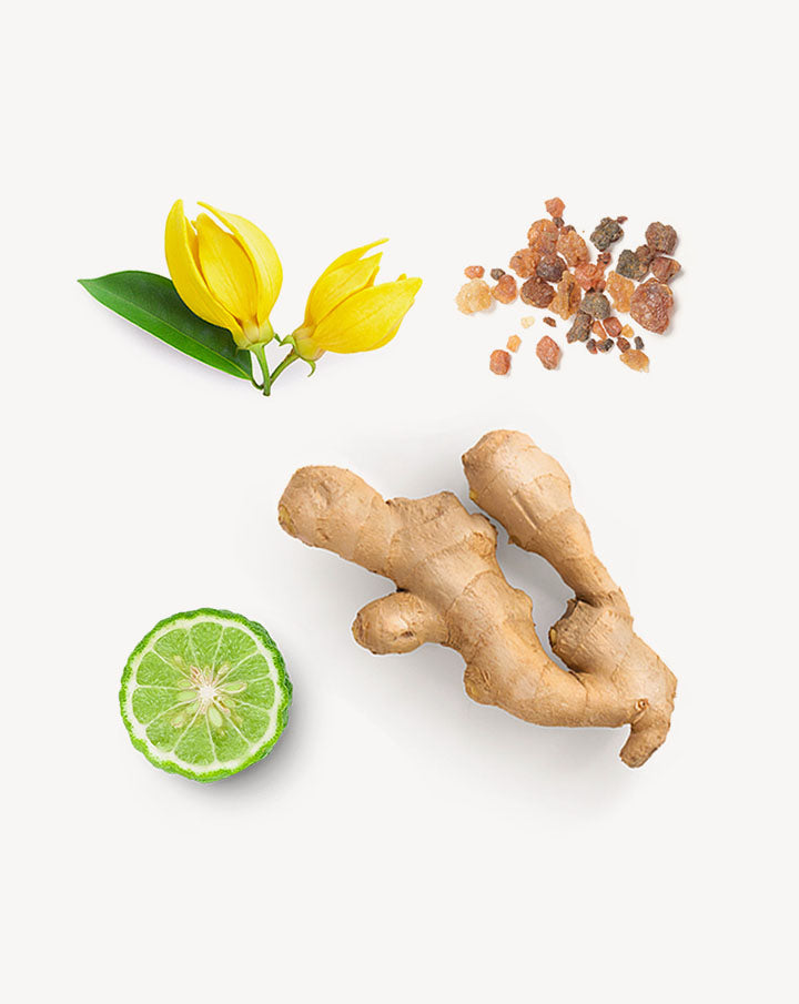 Cheer mélange d’huiles essentielles dōTERRA | 5 ml