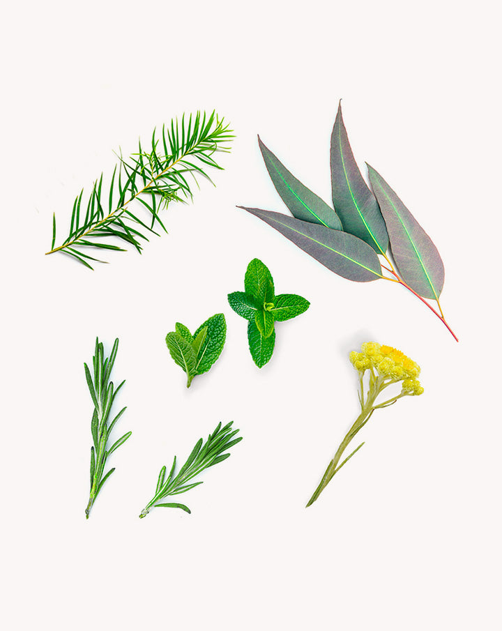 Deep Blue dōTERRA Roll-On Blend | 10ml