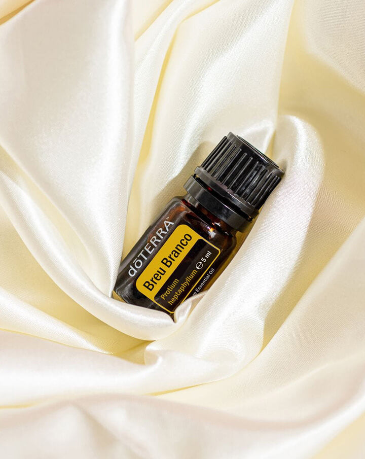 Breu Branco essential oil dōTERRA | 5 ml