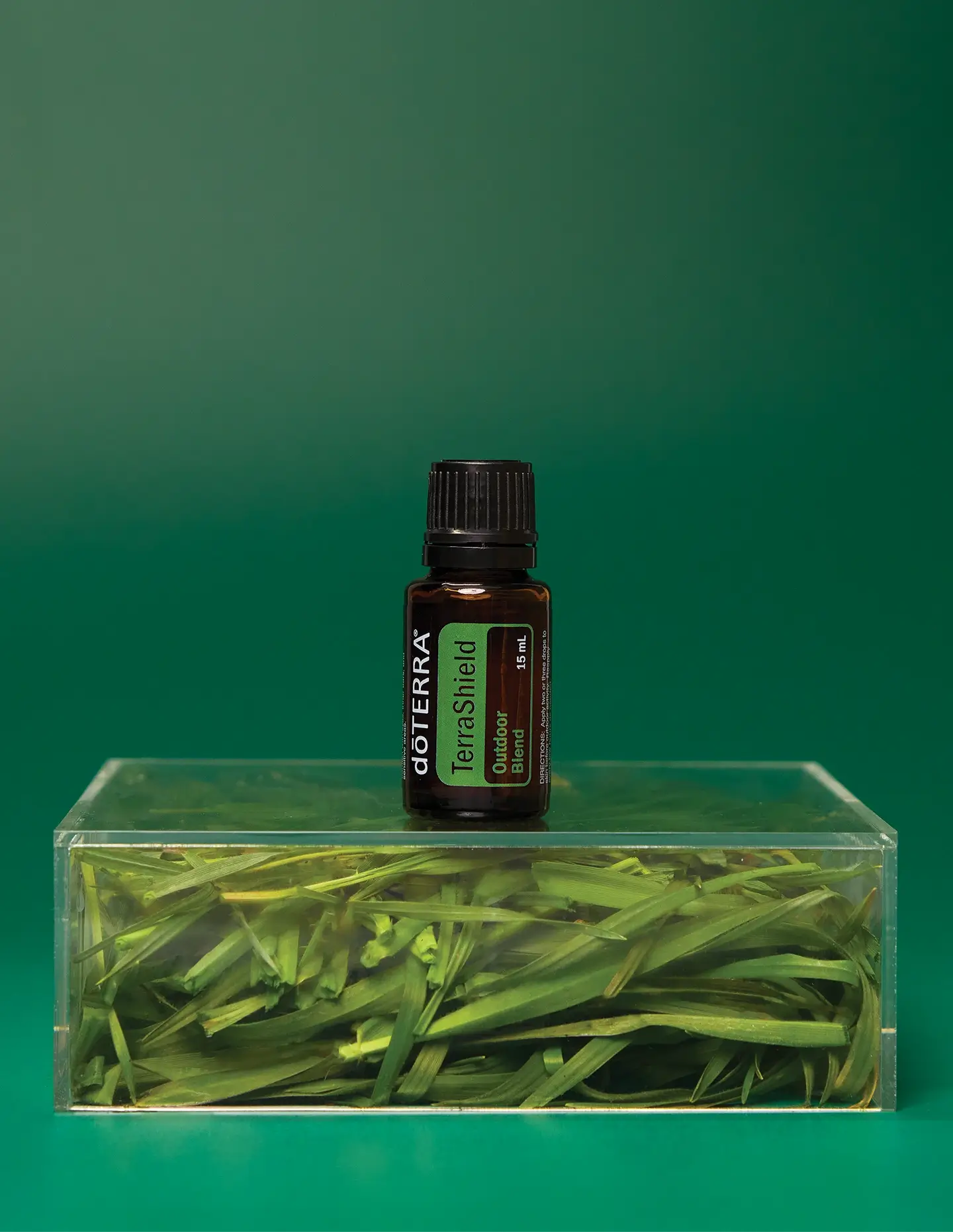 Shinrin-Yoku dōTERRA Forest Bath Blend | 15ml
