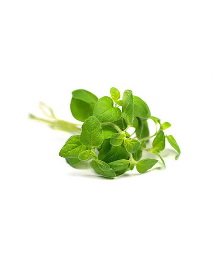 Coriander (leaves) essential oil dōTERRA | 15 ml