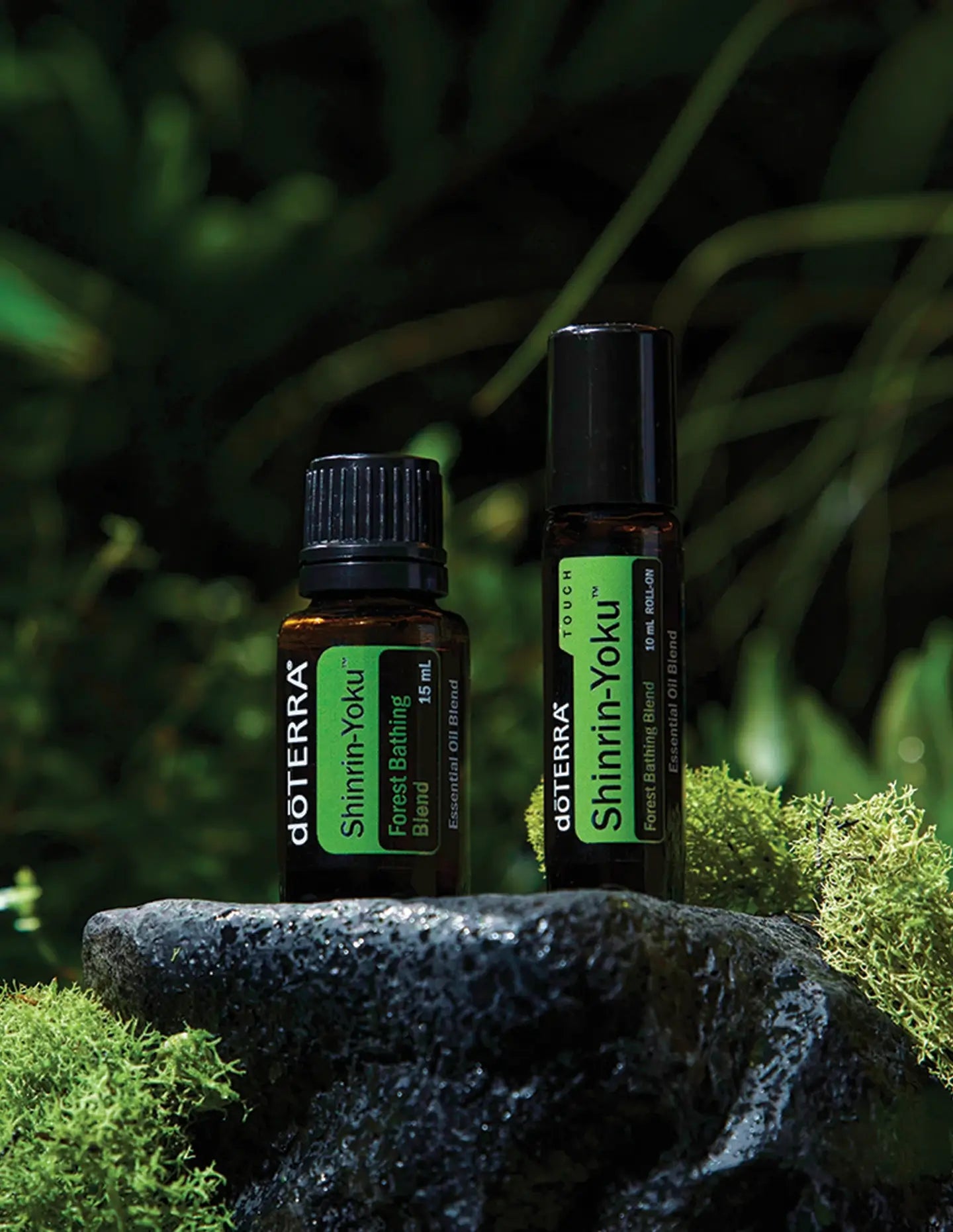 Shinrin-Yoku dōTERRA Forest Bath Blend | 15ml