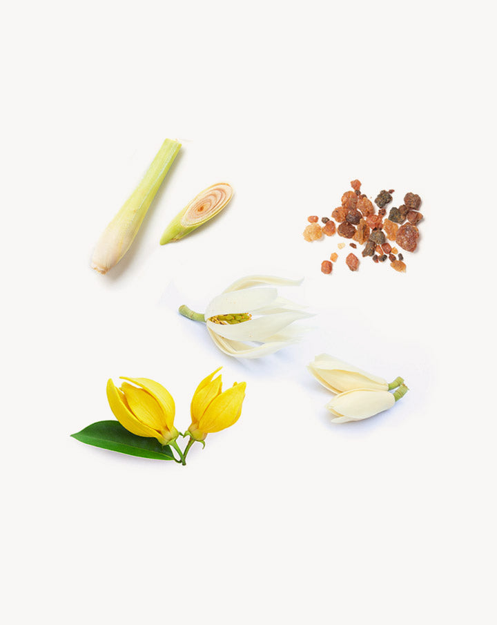 dōTERRA Sun Mineral Body Spray SPF 30 | 170 g