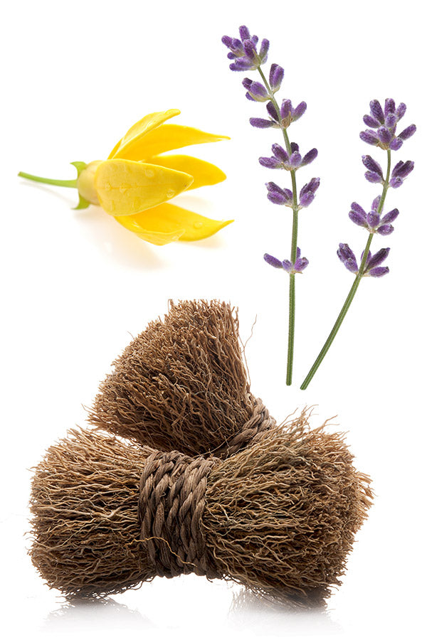 dōTERRA Peace Touch Roll-On Blend | 10 ml