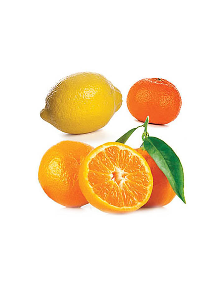 Citrus Bliss dōTERRA ätherische Ölmischung | 15 ml