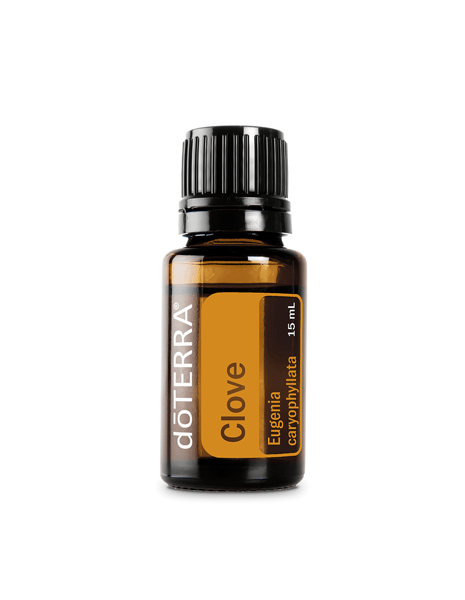 Nelke (Nelke) dōTERRA ätherisches Öl | 15 ml