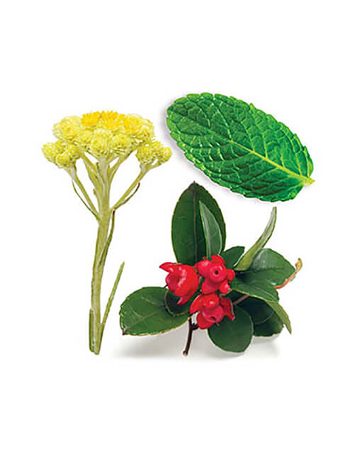 Deep Blue dōTERRA Essential Oil Blends | 5 ml