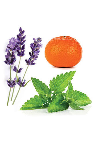 Elevation dōTERRA Essential Oil Blend | 15 ml