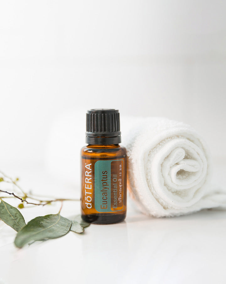 Eucalyptus radiata essential oil dōTERRA | 15 ml