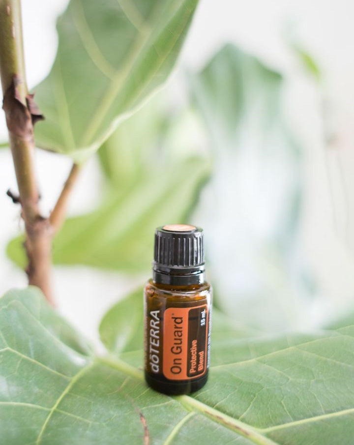 On Guard dōTERRA Essential Oil Blend | 15 ml