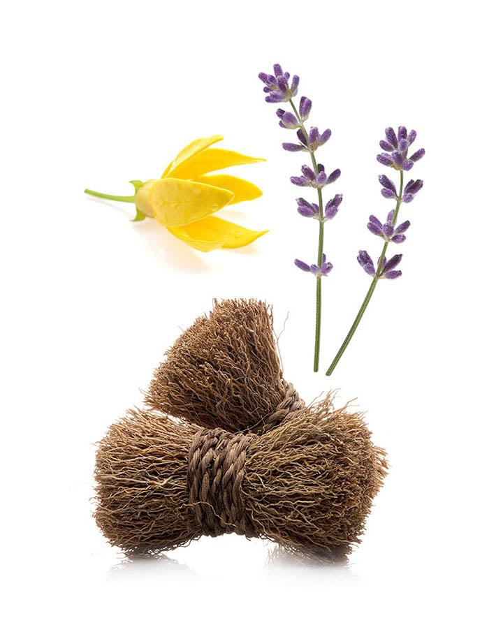 Peace dōTERRA Essential Oil Blend | 5 ml