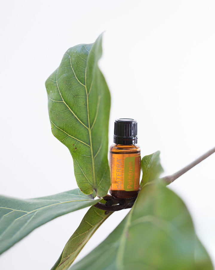 Petitgrain huile essentielle dōTERRA | 15 ml