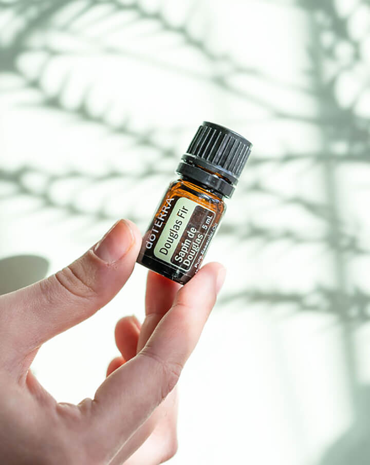 Douglas Fir (Douglas Fir) dōTERRA Essential Oil | 5 ml