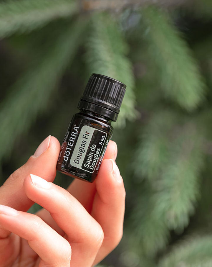 Douglas Fir (Douglas Fir) dōTERRA Essential Oil | 5 ml