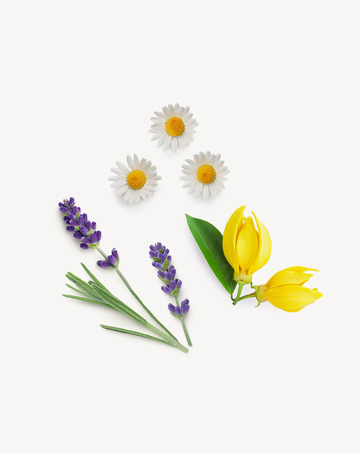 Serenity mélange d’huiles essentielles dōTERRA | 15ml