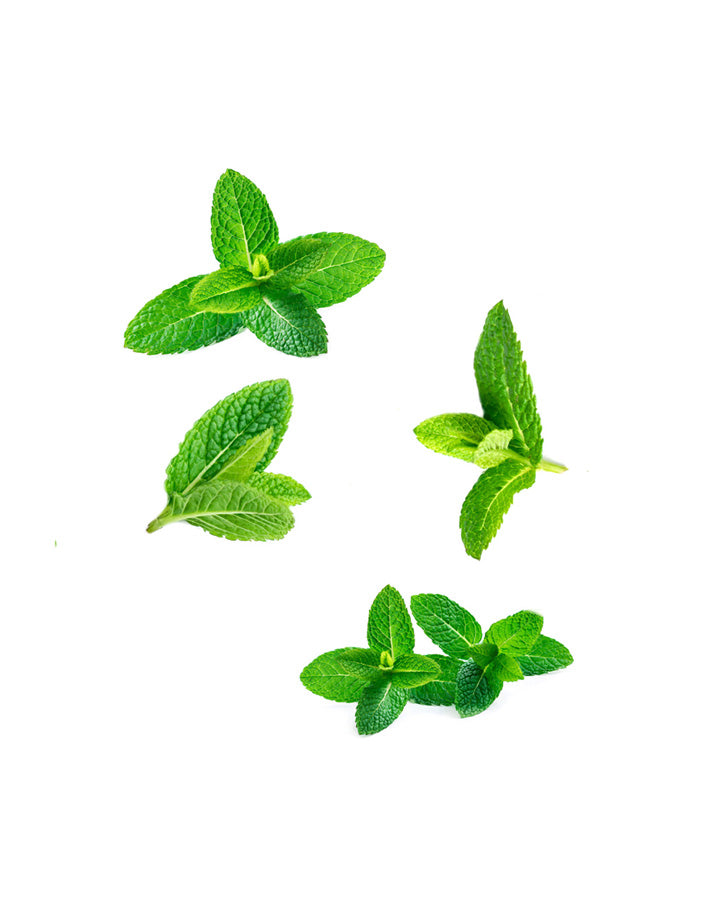 dōTERRA SuperMint Touch Roll-On Blend | 10 ml