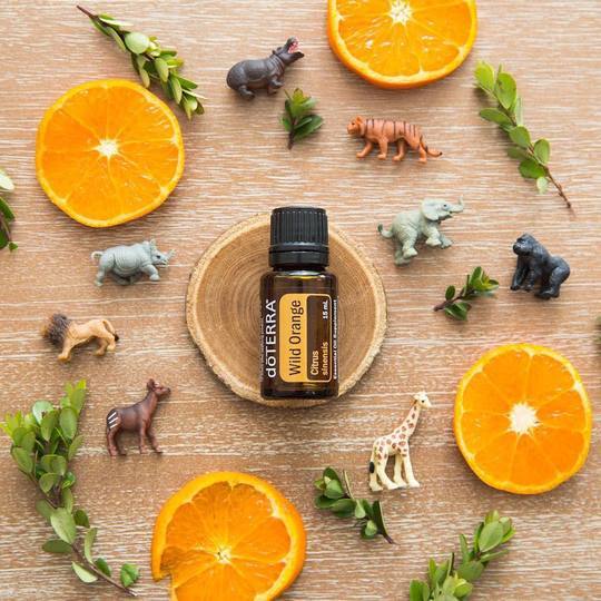 dōTERRA Petal Diffuser Trio