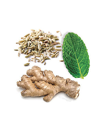 ZenGest complément alimentaire dōTERRA | 60 gélules