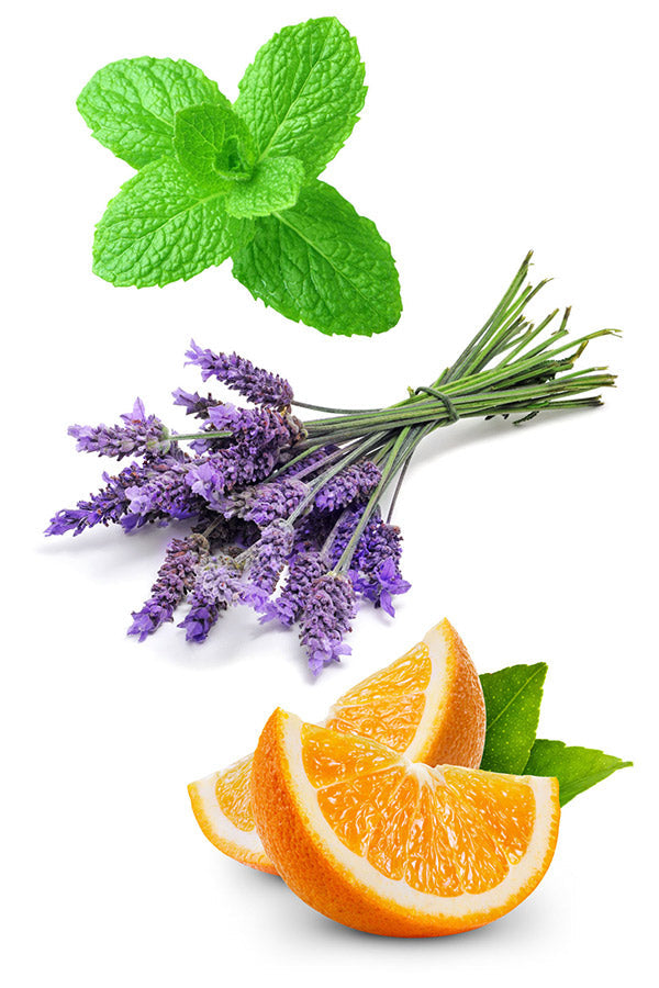 Adaptiv mélange d’huiles essentielles dōTERRA | 15 ml