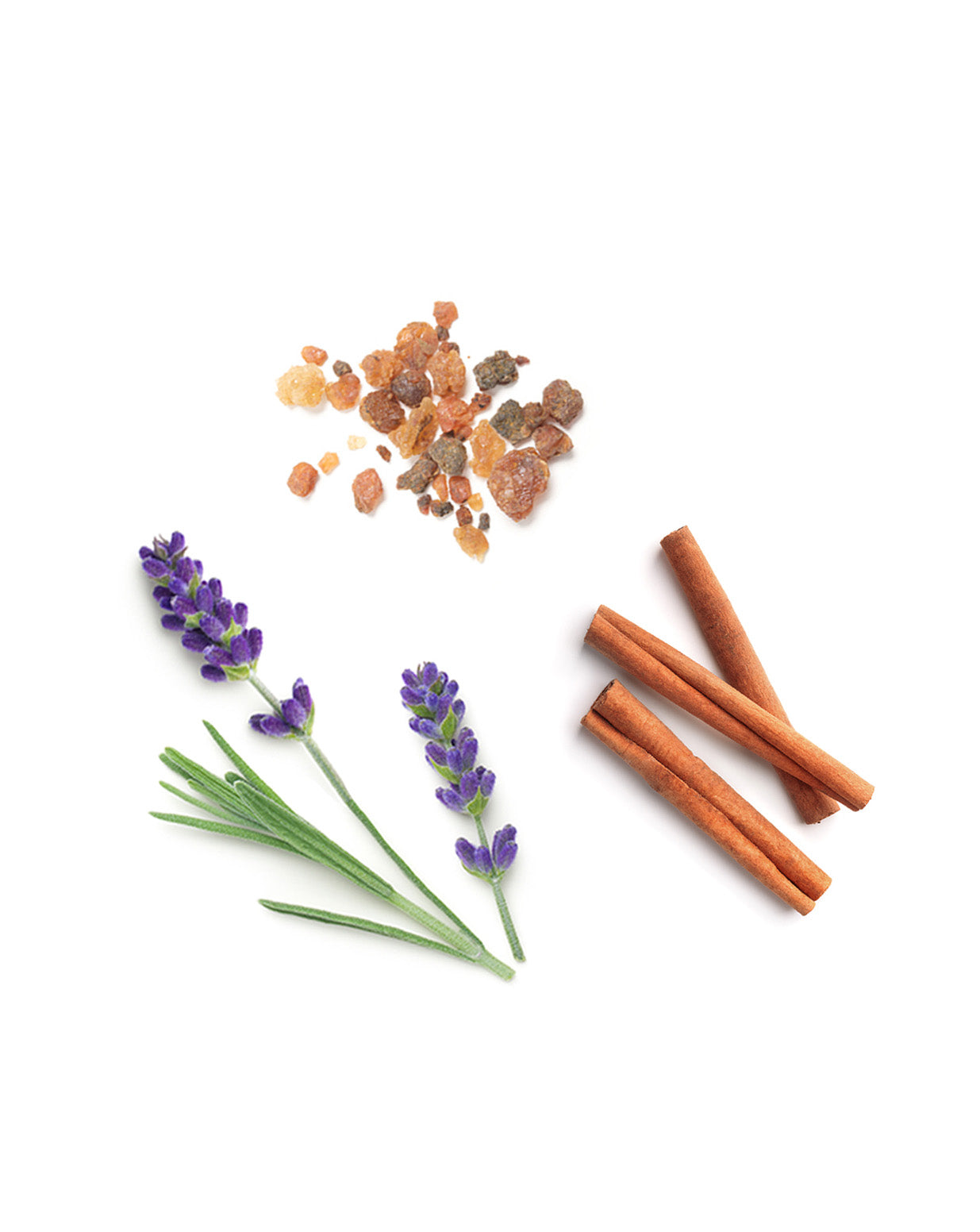 Anchor dōTERRA Stabilizing Blend | 5 ml