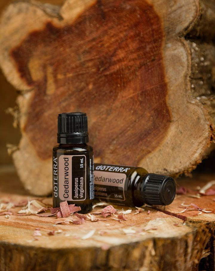 Cedarwood essential oil dōTERRA | 15 ml