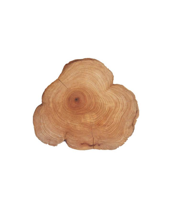 Cedarwood essential oil dōTERRA | 15 ml