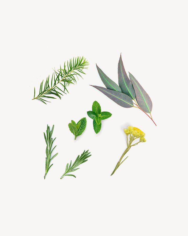 Deep Blue mélanges d'huiles essentielles dōTERRA | 5 ml