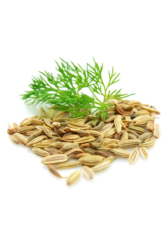 Sweet Fennel Essential Oil dōTERRA | 15 ml
