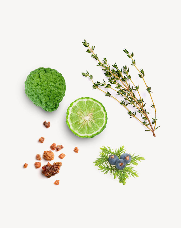 Forgive mélange d’huiles essentielles dōTERRA | 5ml