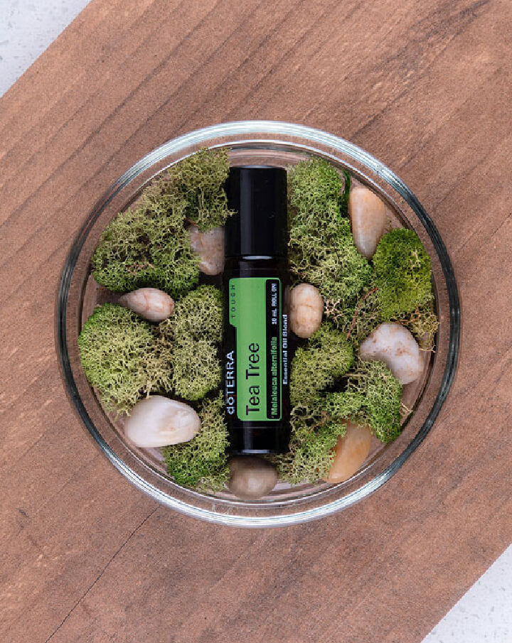 Tea Tree Touch diluted in dōTERRA Roll-On Applicator | 10 ml