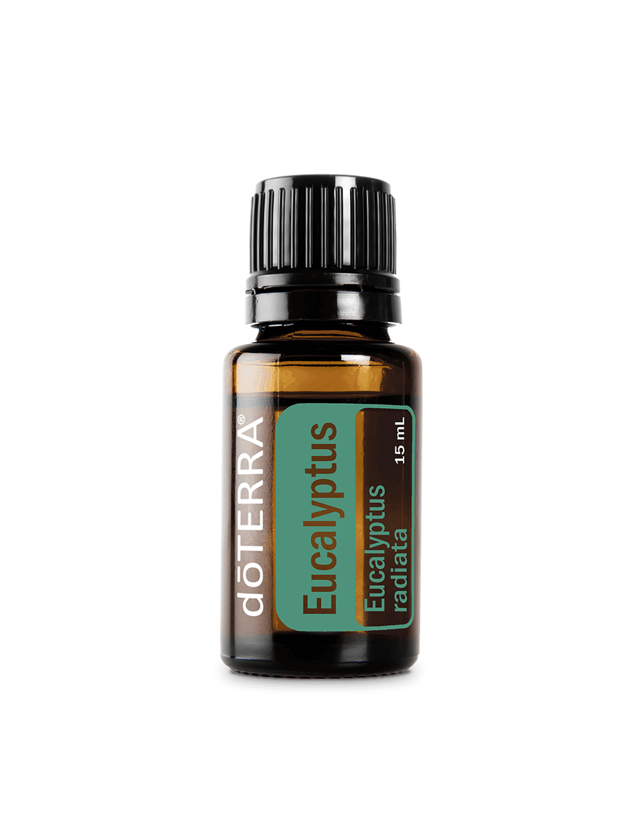 Eucalyptus radiata essential oil dōTERRA | 15 ml
