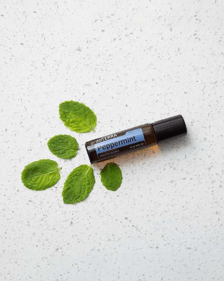 Peppermint Touch Diluted in dōTERRA Roll-On Applicator | 10 ml