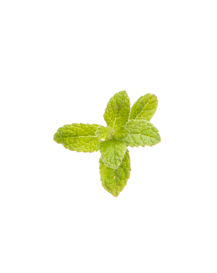 Peppermint Pearls dōTERRA food supplement | 125 pearls