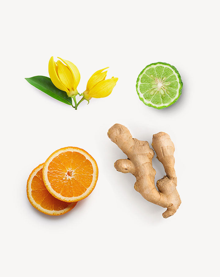 Passion Touch mélange en applicateur à bille dōTERRA | 10 ml