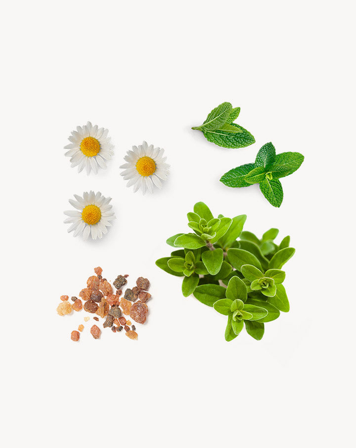 PastTense-Mischung im dōTERRA Roll-on-Applikator | 10 ml