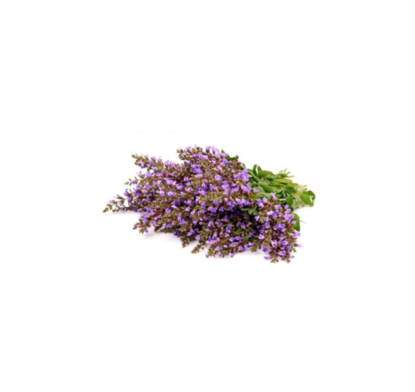 Sauge sclarée (Clary Sage) huile essentielle dōTERRA | 15ml