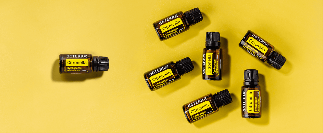 Dites adieu aux moustiques avec l'huile essentielle de Citronnelle dōTERRA