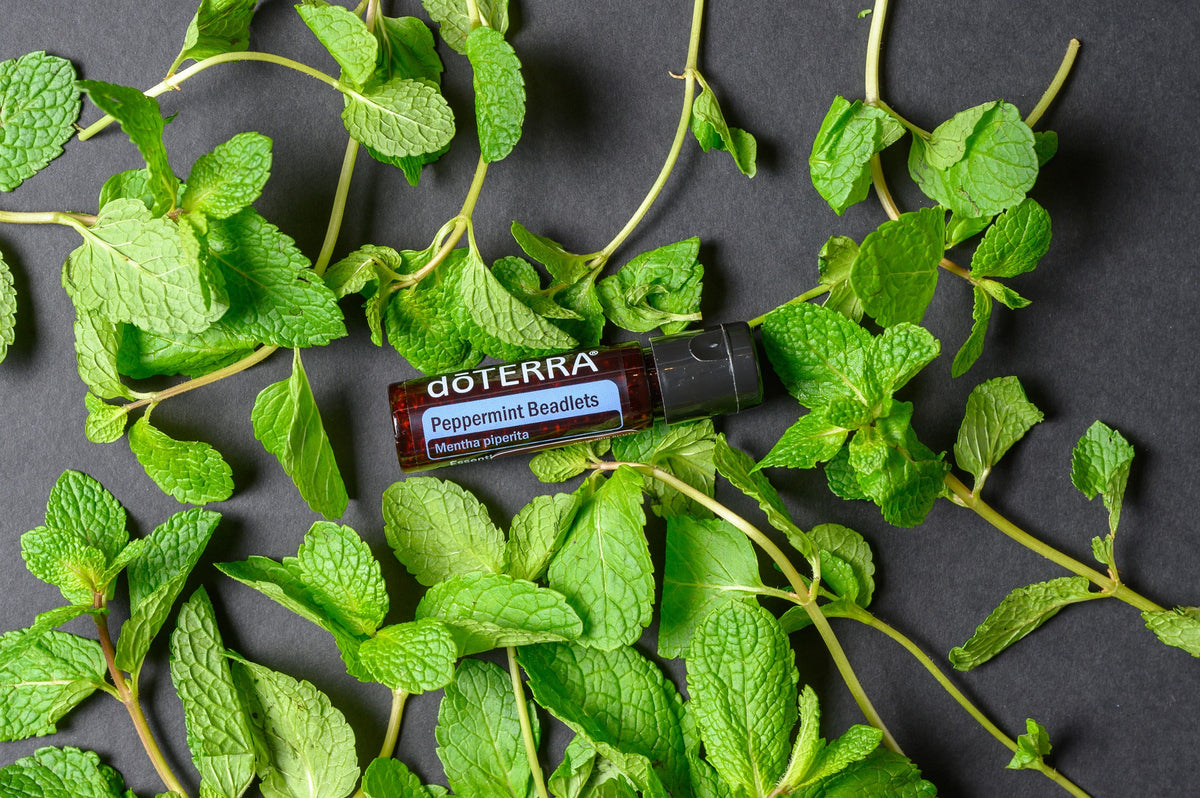 Billes Menthe poivrée complément alimentaire dōTERRA | 125 billes