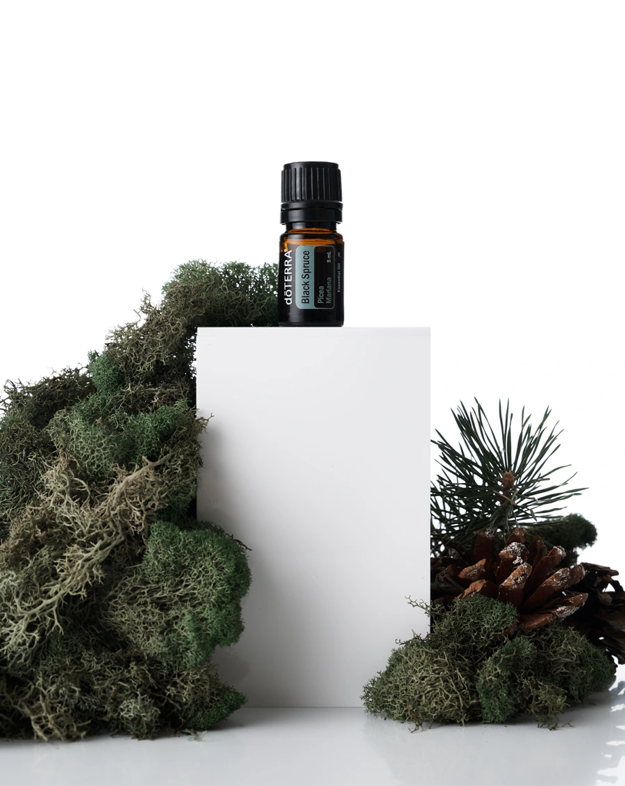 Black Spruce essential oil dōTERRA | 5 ml