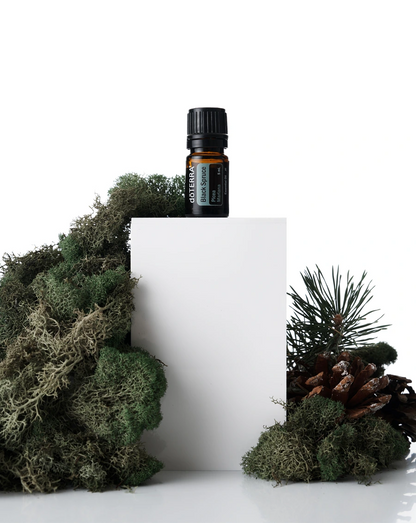 Epinette noire (Black Spruce) huile essentielle dōTERRA, 5 ml
