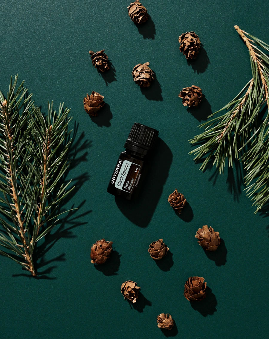 Ätherisches dōTERRA-Öl aus Schwarzfichte | 5 ml