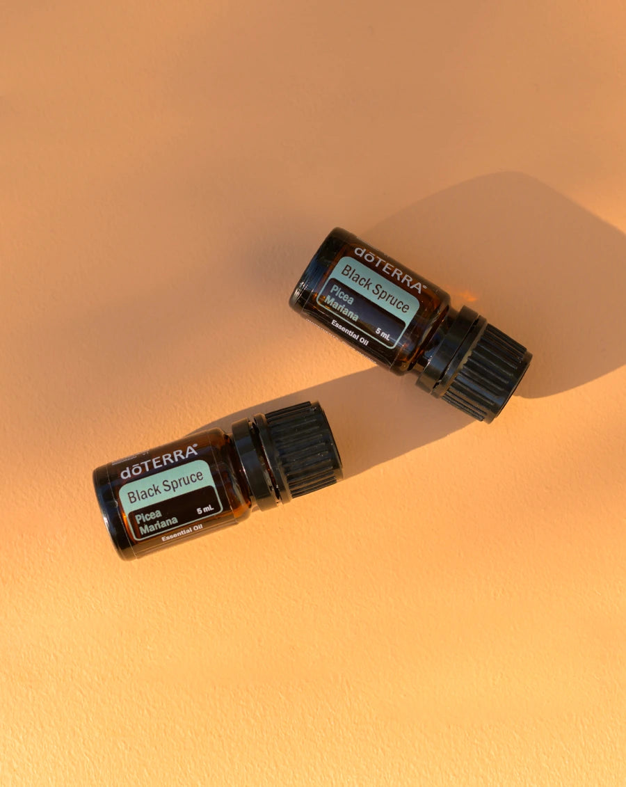 Ätherisches dōTERRA-Öl aus Schwarzfichte | 5 ml