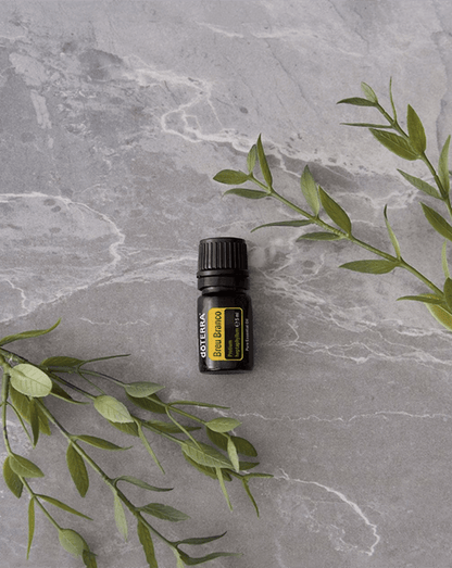 Breu Branco huile essentielle dōTERRA, 5 ml