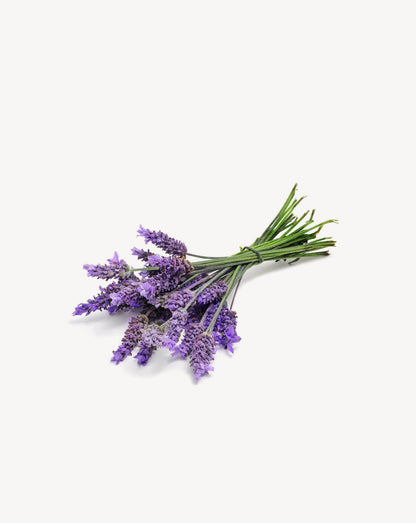 Lavande huile essentielle dōTERRA, 15 ml