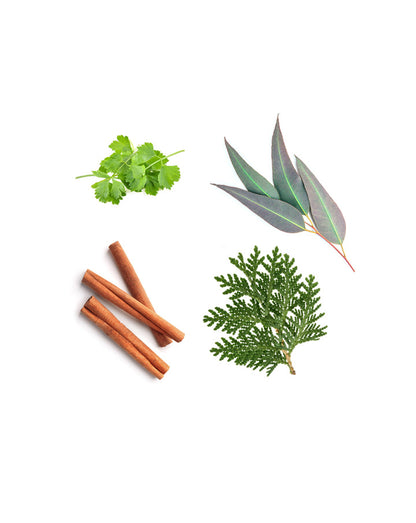 Abōde mélange rafraîchissant d'huiles essentielles dōTERRA, 15 ml