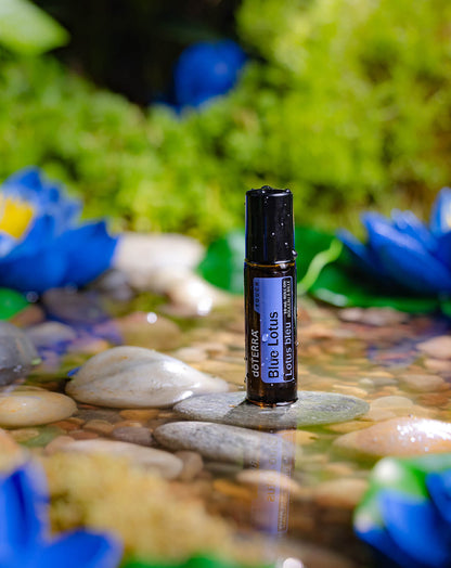 Lotus bleu Touch dilué en applicateur à bille dōTERRA, 10 ml