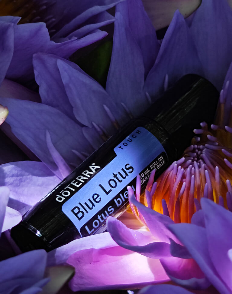 Lotus bleu Touch dilué en applicateur à bille dōTERRA | 10 ml