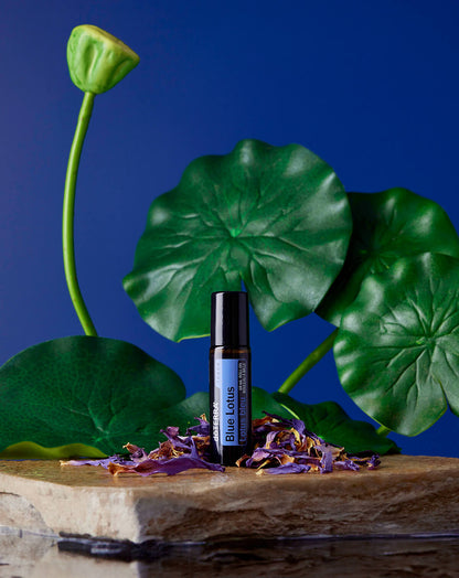Lotus bleu Touch dilué en applicateur à bille dōTERRA, 10 ml
