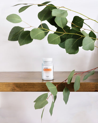 Complexe Zendocrine dōTERRA, flacon sur une étagère avec eucalyptus
