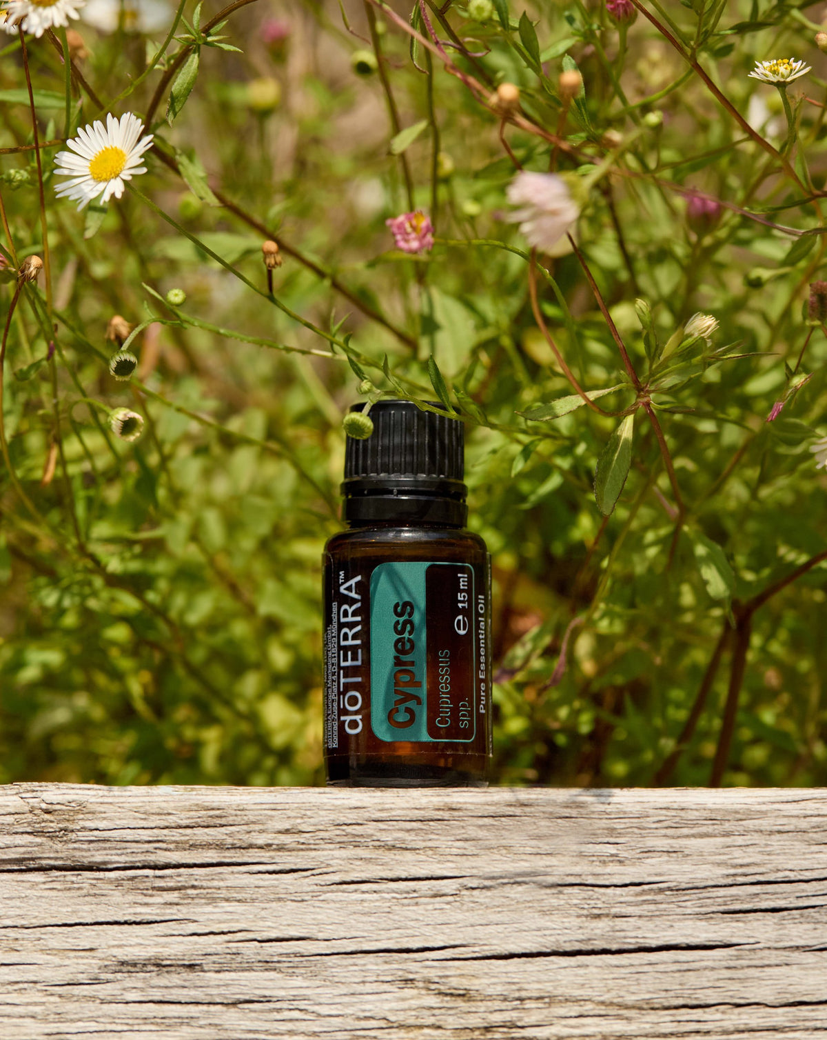 Cyprès dōTERRA, flacon devant des fleurs des champs